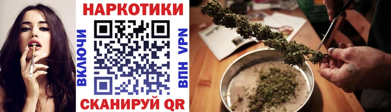 ГАШ Звенигово