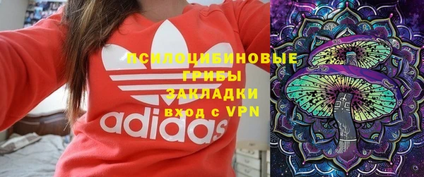 тгк Зеленокумск