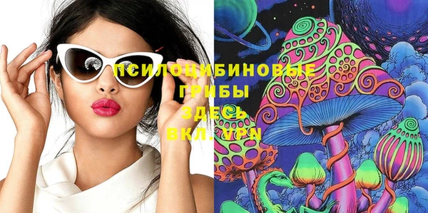 ГАЛЛЮЦИНОГЕННЫЕ ГРИБЫ Зерноград